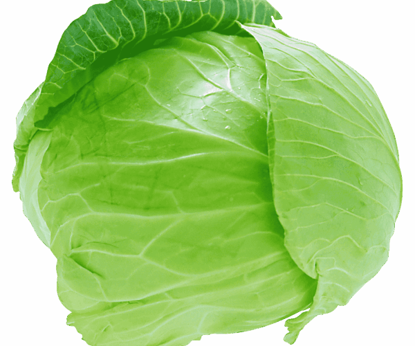 png-clipart-cabbage-cabbage-Photoroom