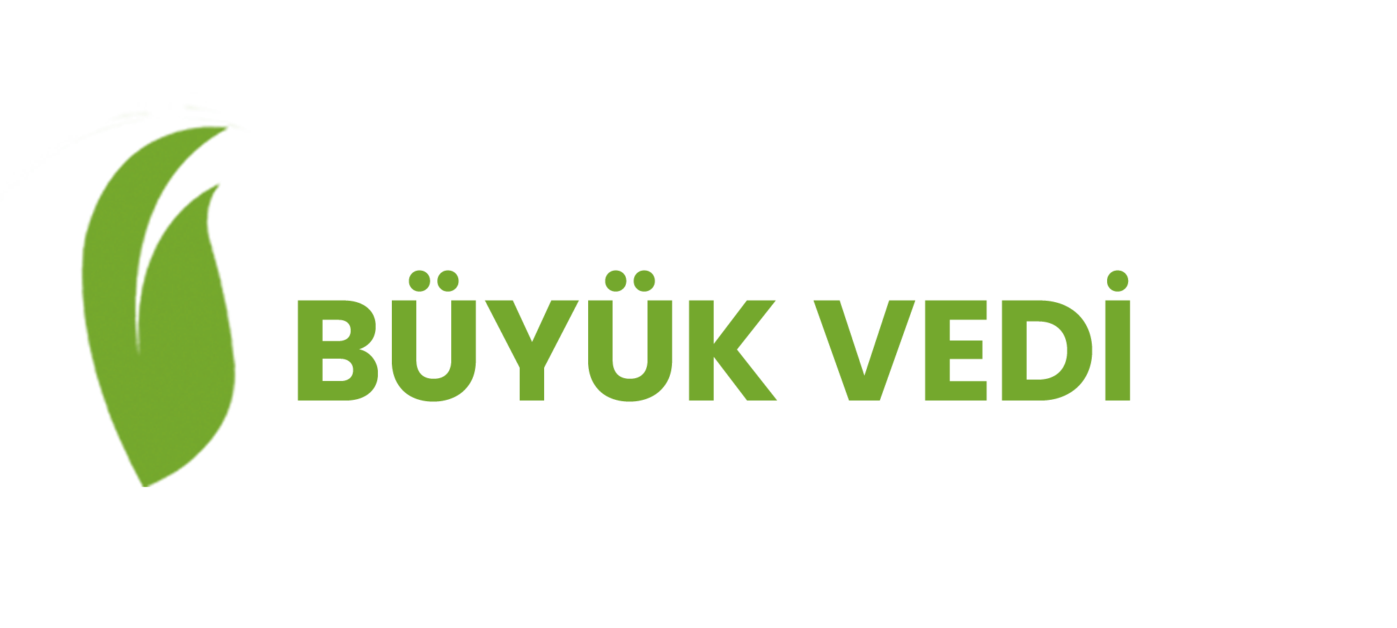 BÜYÜK VEDİ LOGO